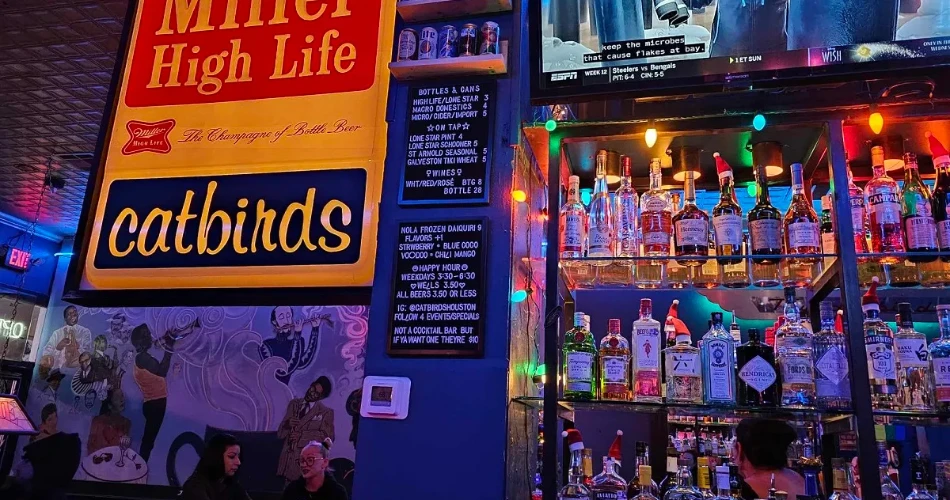 Houston Nightlife: Where Sleep Is Optional, and Fun is Mandatory!