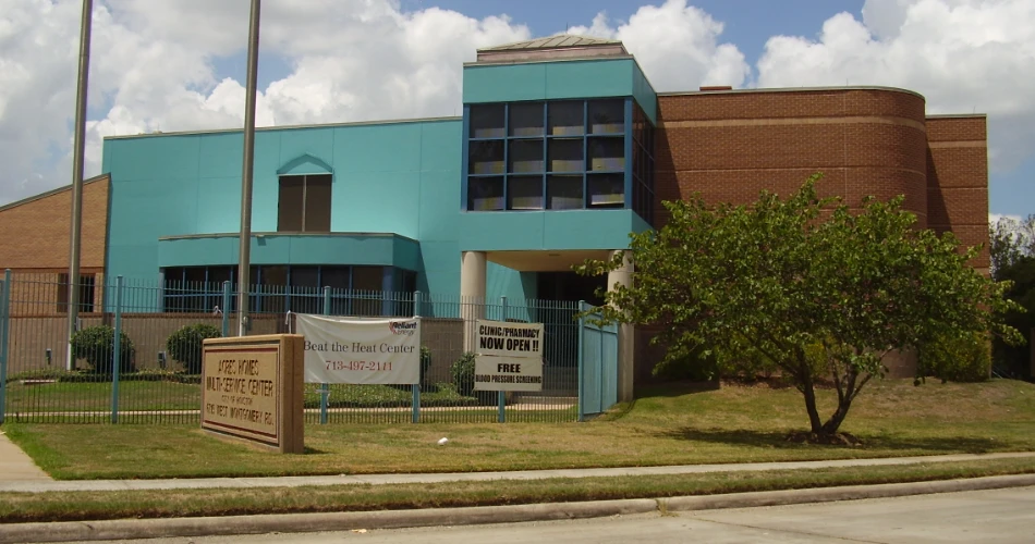 A Guide Through Houston’s Past