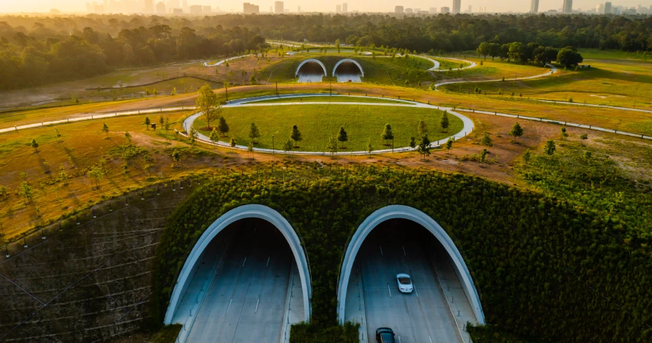 10 Best Things To Do For Couples In Houston