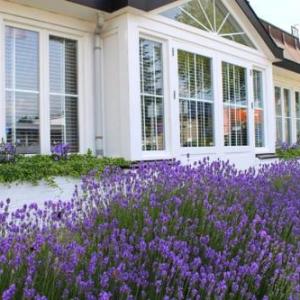Hotel Herbergh Amsterdam Airport Amsterdam