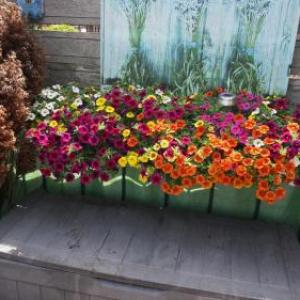 Amsterdam Roof terrace BB 