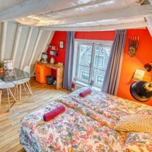 Attic monkeys Lodge 