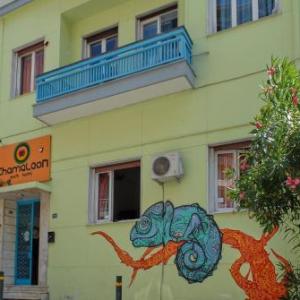 Chameleon Youth Hostel