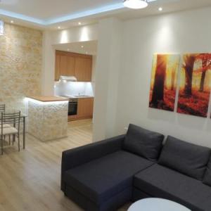 Apartment near Acropolis 