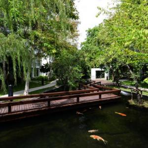 the Park Nine Hotel Srinakarin