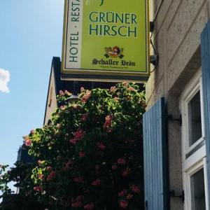 Grüner Hirsch