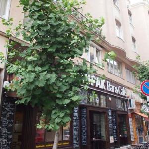 Budapest Suites
