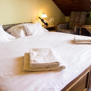 Hotel Molnár
