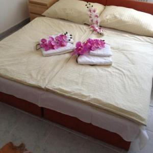 Hotel Timon