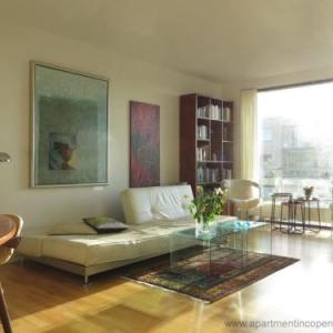 Apartment in Copenhagen 