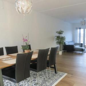 ApartmentInCopenhagen Apartment 1338 Copenhagen 