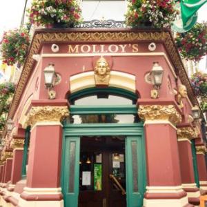 molloys Apartments Dublin