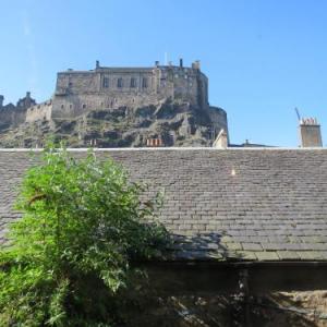 Our City - King Stable Lane
