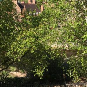 Dean Village Cottage