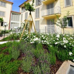 Borgo Guelfo II