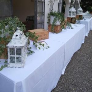 Villas in Florence 