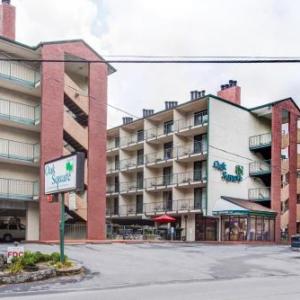 Oak Square Rentals