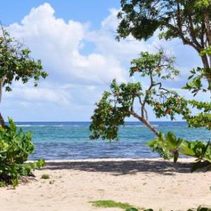 Résidence Tropicale Guadeloupe 