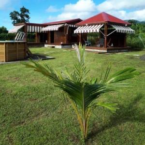 Bungalow with one bedroom in Capesterre Belle Eau with wonderful mountain view private pool enclosed garden 12 km from the beach Guadeloupe