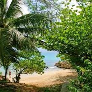Maison de 2 chambres avec jardin clos et wifi a Le Gosier a 3 km de la plage
