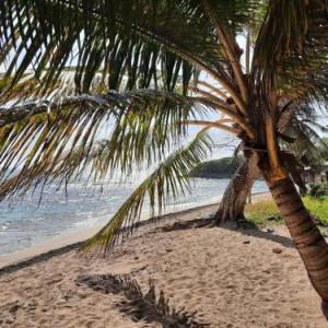 Holiday home in Guadeloupe 