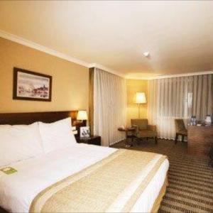 Dedeman Istanbul