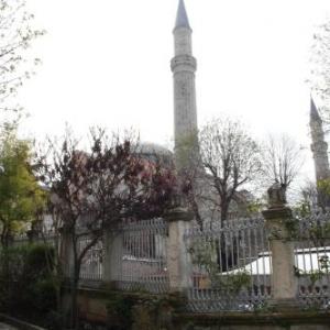 Coskun House