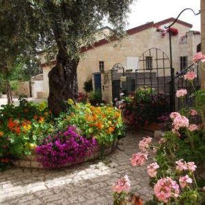Avissar house