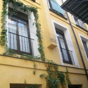 Hostal El Tera Madrid 