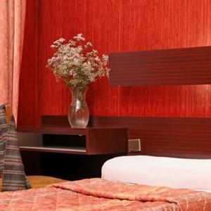 Hotel Camelia International 