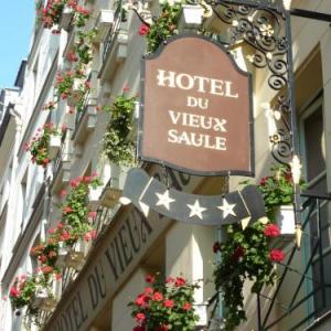 Hotel Du Vieux Saule
