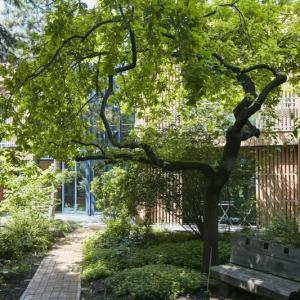 Eden Lodge Paris