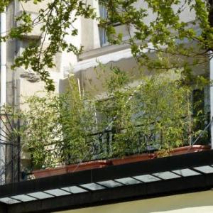 Apartment in Paris 