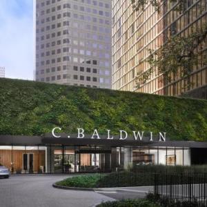 C. Baldwin Curio Collection by Hilton Houston