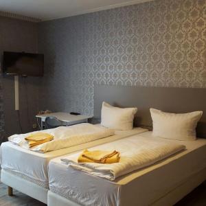 Expo Apartment