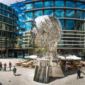 City Nest