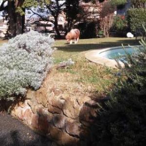 Relais La Canfora