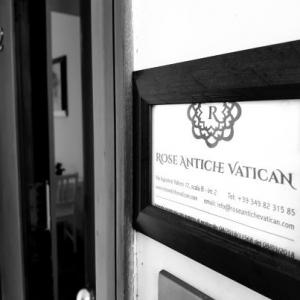Rose Antiche Vatican BB 