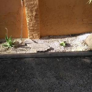 tuccis Roma Guest House Rome