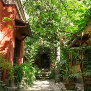Margutta's Garden Rome 