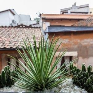 Campo Penthouse