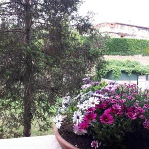 B&B Papa Leone Countryrooms