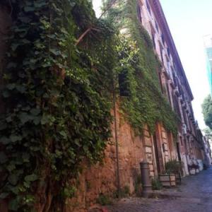 Riari 59 Rome - Trastevere