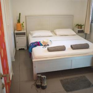 Florentine Backpackers Hostel (age 18-40)