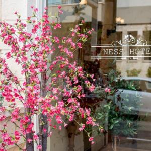 Ness Hotel tel Aviv