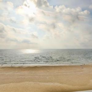 Colony Beach Apartment 705