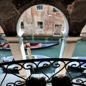 Red Rose Venice 