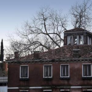 Ca Sansovino Guggenhiem