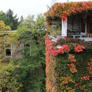 Hotel Wiener Kindl Vienna 