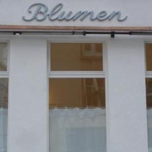 Premium Apartment beim Belvedere